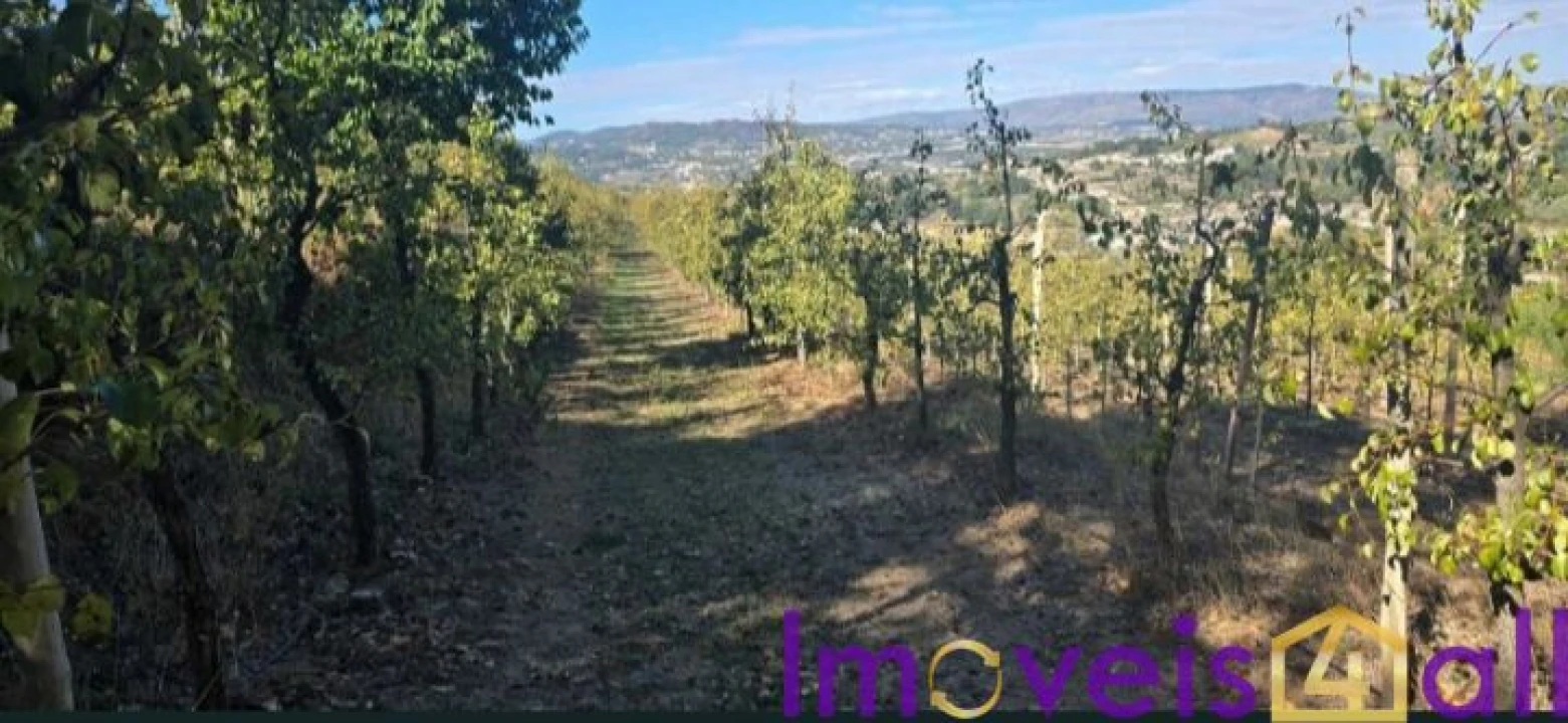 Quinta T8 para Venda em Adorigo Foto 7