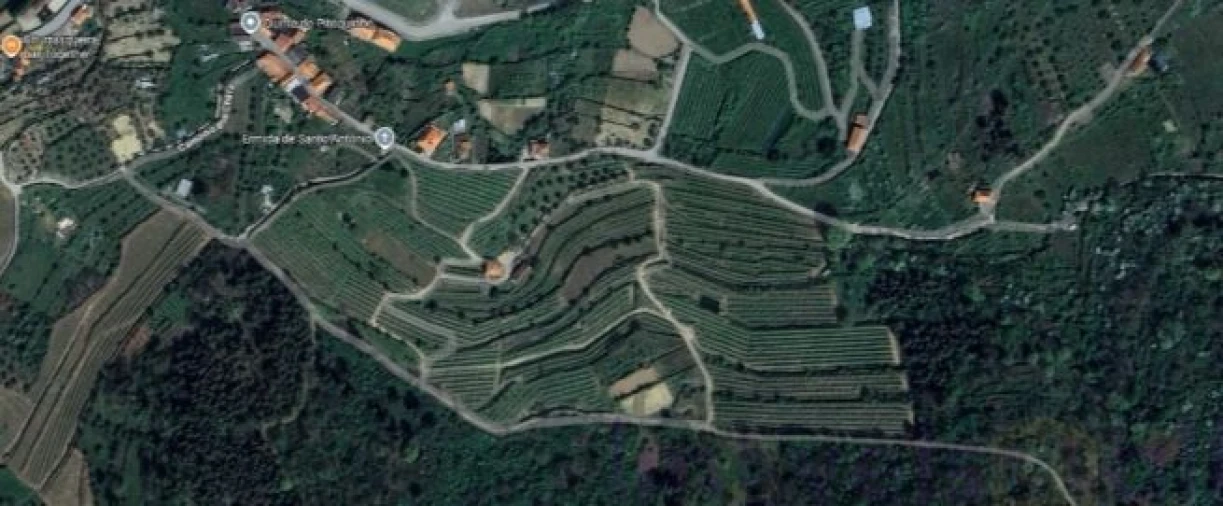 Quinta T8 para Venda em Adorigo Foto 11