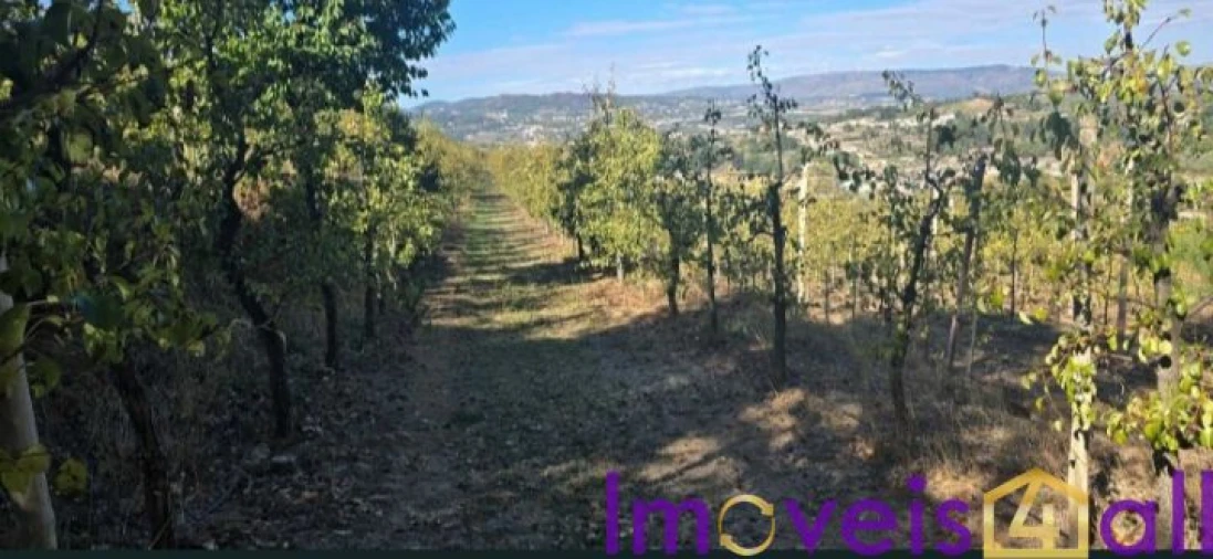 Quinta T8 para Venda em Adorigo Foto 7