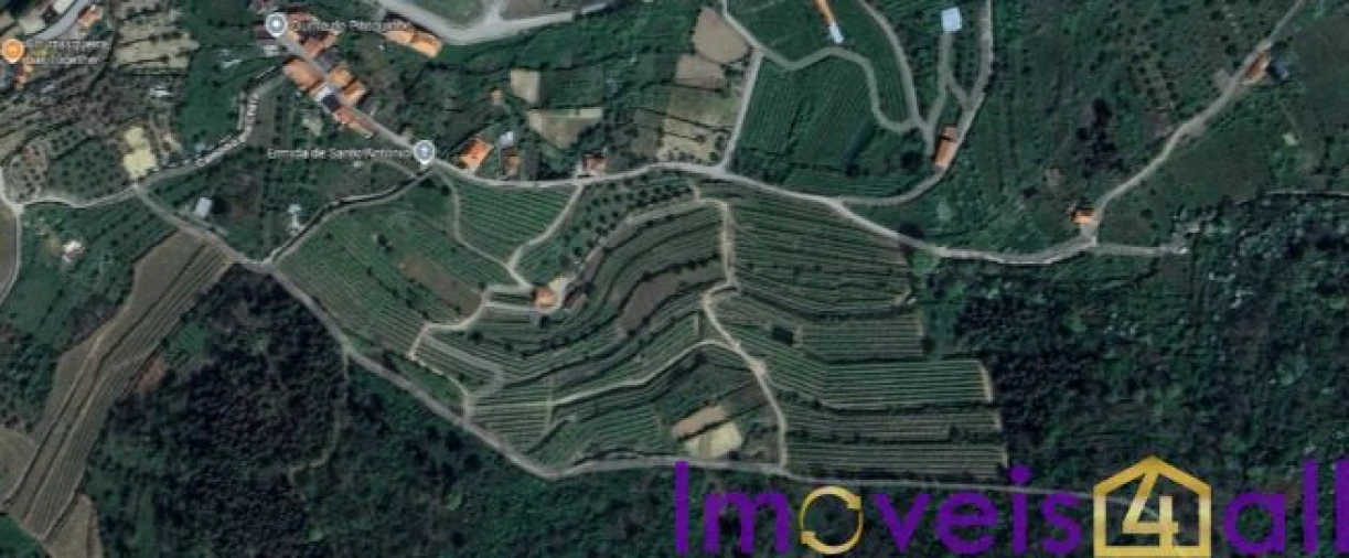Quinta T8 para Venda em Adorigo Foto 11