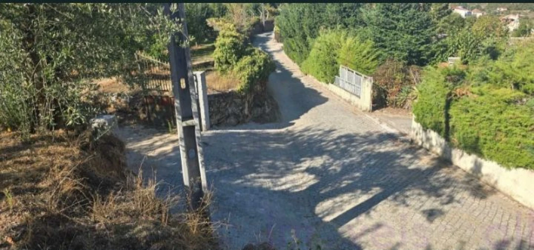 Quinta T8 para Venda em Adorigo Foto 3