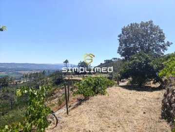 Quinta T2 para Venda em Orjais