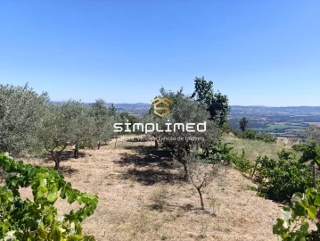 Quinta T2 para Venda em Orjais