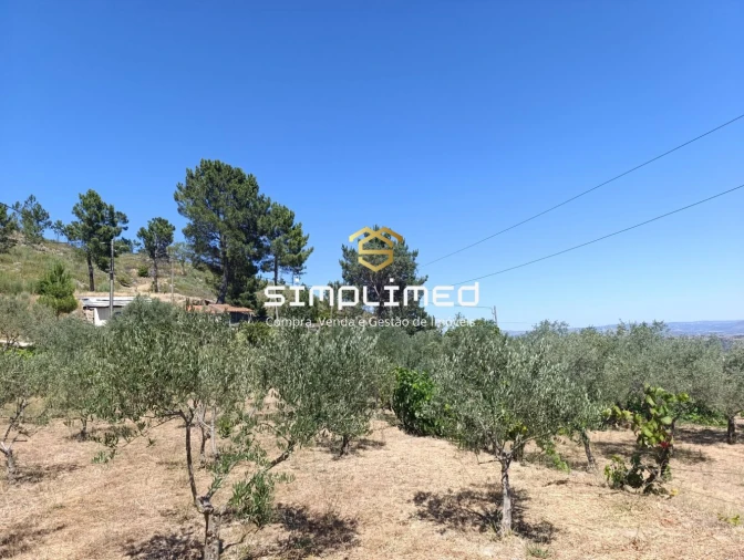 Quinta T2 para Venda em Orjais Foto 44