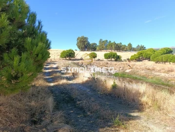 Quinta T0 para Venda em Orjais