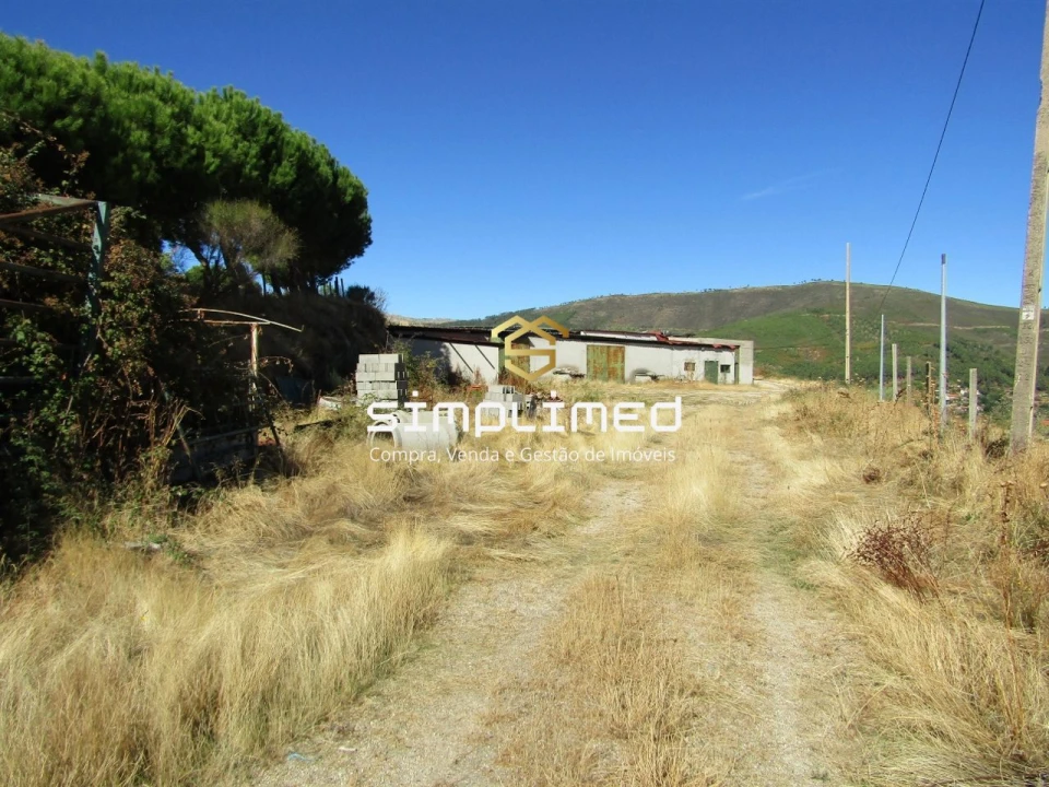 Quinta T0 para Venda em Orjais Foto 20