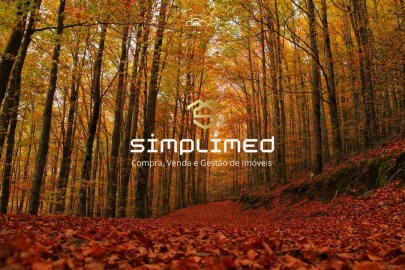 Quinta T2 para Venda em Belmonte e Colmeal da Torre