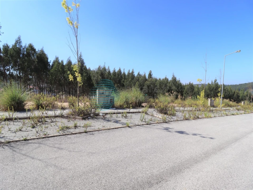 Terreno para Venda em Santa Maria, São Pedro e Matacães Foto 11