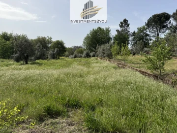 Terreno para Venda em Cabanas de Viriato