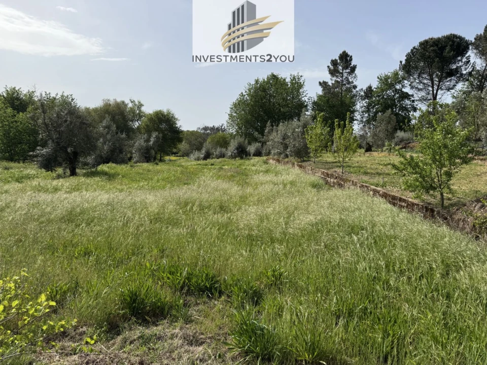 Terreno para Venda em Cabanas de Viriato Foto 1