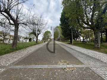 Loja para Trespasse em Canedo, Vale e Vila Maior