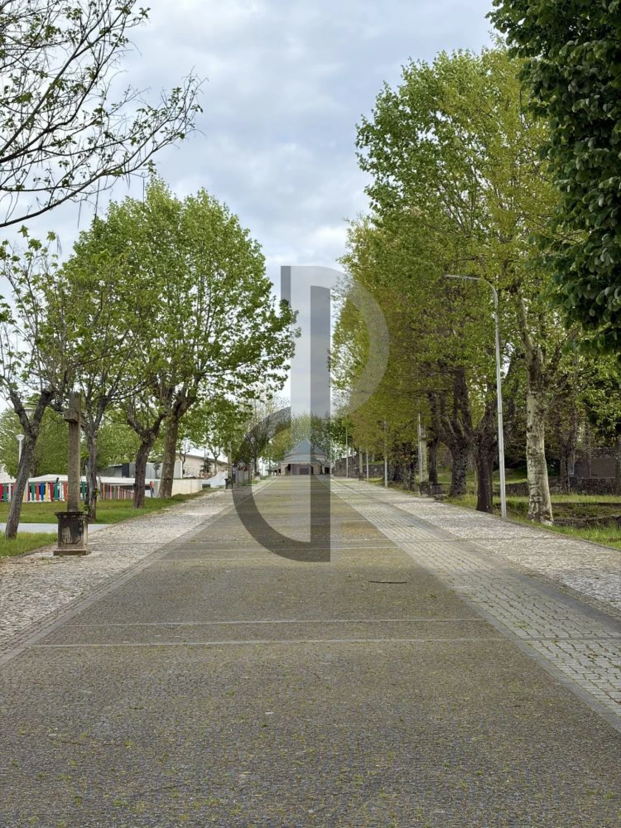 Loja para Trespasse em Canedo, Vale e Vila Maior Foto 11