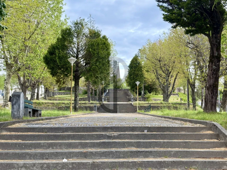 Loja para Trespasse em Canedo, Vale e Vila Maior Foto 10