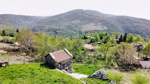 Moradia T1 para Venda em Riba de Mouro