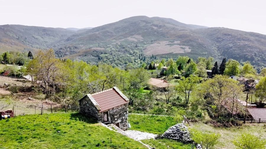 Moradia T1 para Venda em Riba de Mouro