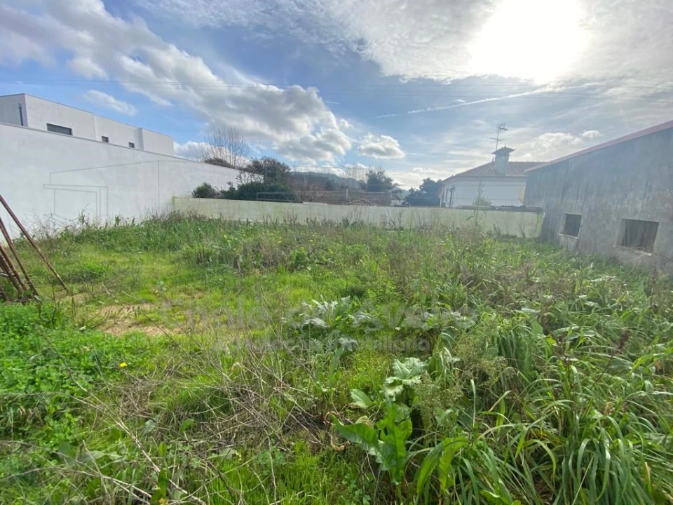 Moradia T3 para Venda em Pinheiro da Bemposta, Travanca e Palmaz Foto 25