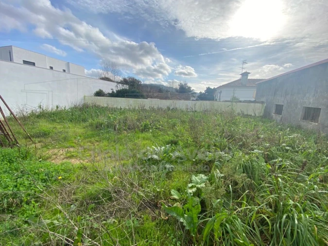 Moradia T3 para Venda em Pinheiro da Bemposta, Travanca e Palmaz Foto 25