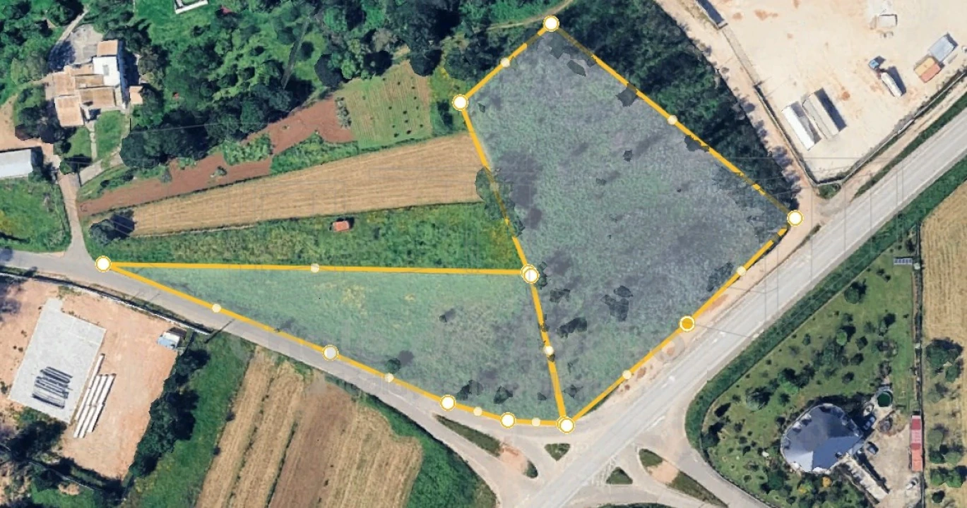 Terreno Agricola ou Rústico para Venda em Albergaria-A-Velha e Valmaior Foto 1