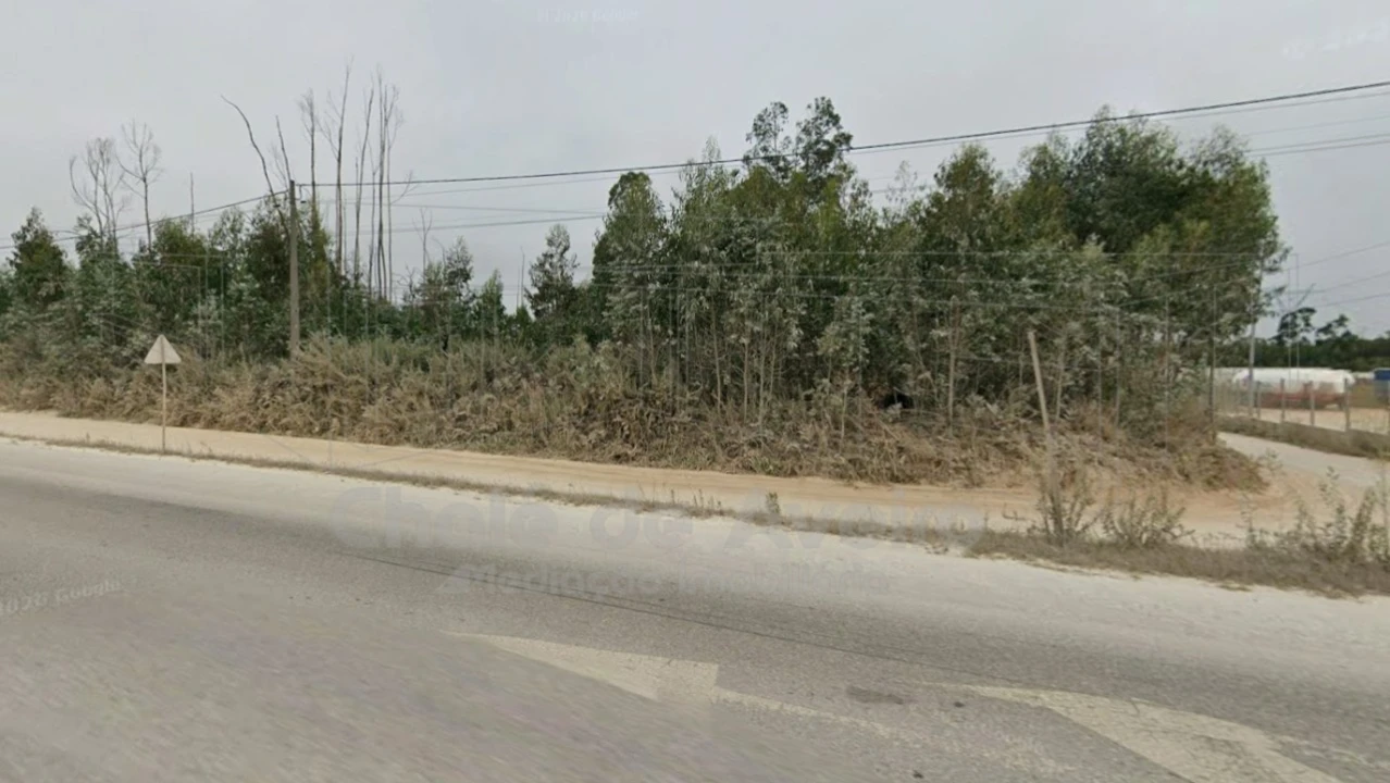 Terreno Agricola ou Rústico para Venda em Albergaria-A-Velha e Valmaior Foto 5