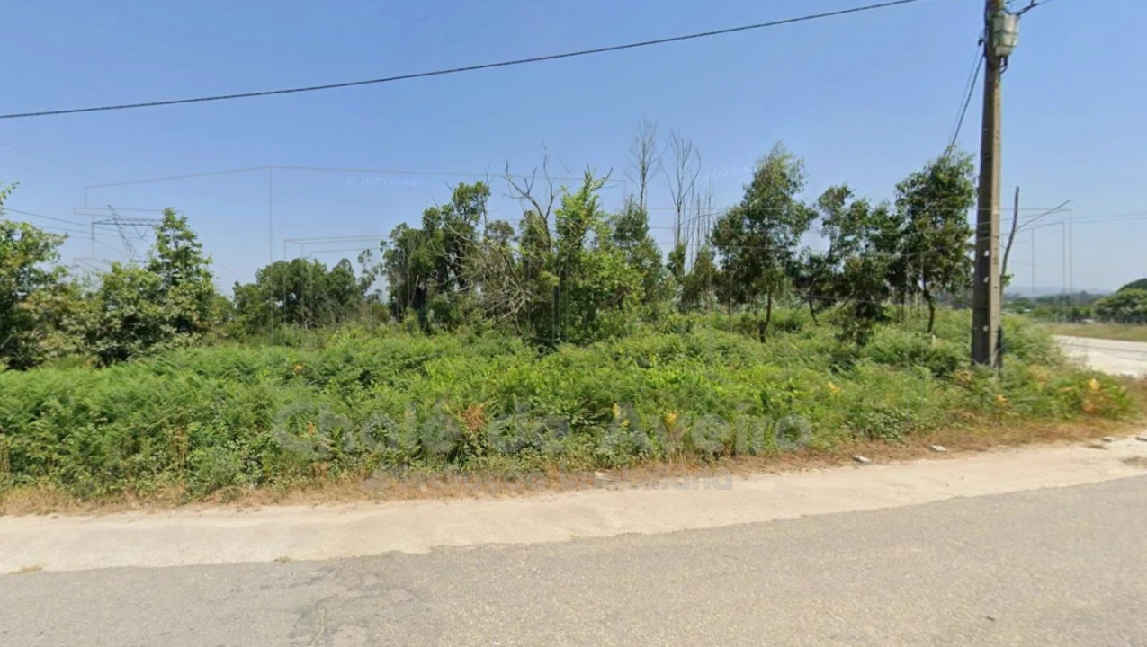 Terreno Agricola ou Rústico para Venda em Albergaria-A-Velha e Valmaior Foto 6