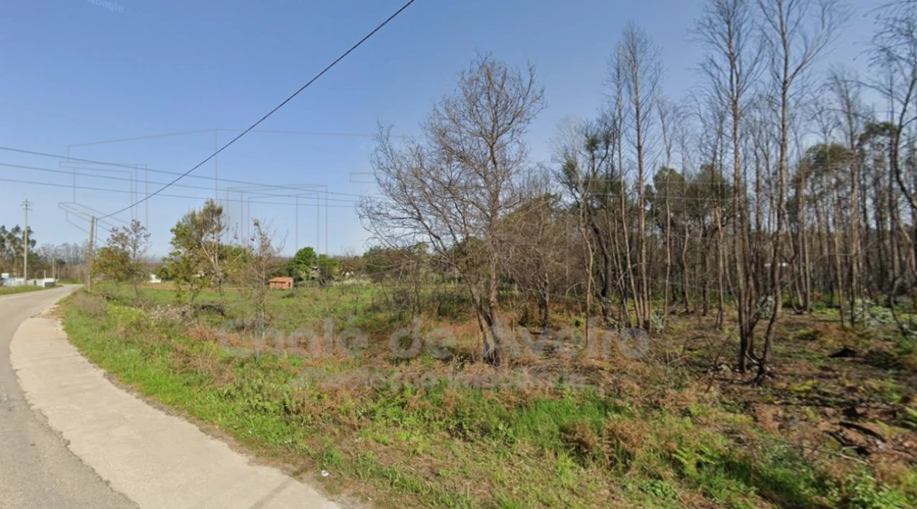 Terreno Agricola ou Rústico para Venda em Albergaria-A-Velha e Valmaior Foto 4