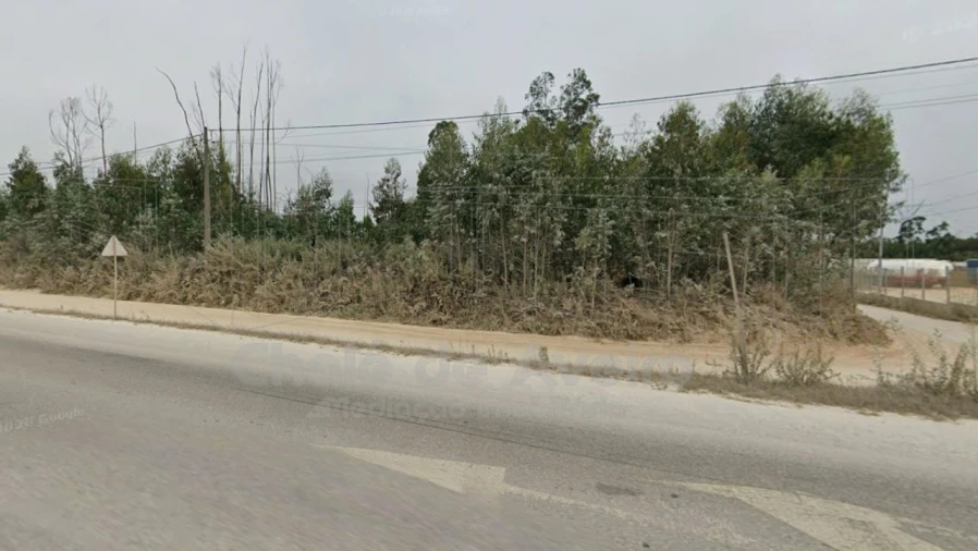 Terreno Agricola ou Rústico para Venda em Albergaria-A-Velha e Valmaior Foto 5