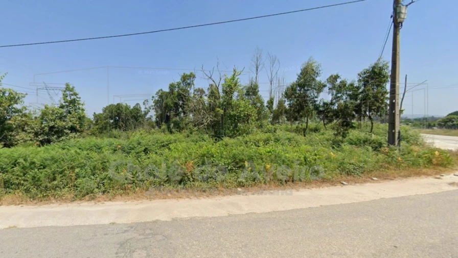 Terreno Agricola ou Rústico para Venda em Albergaria-A-Velha e Valmaior Foto 6
