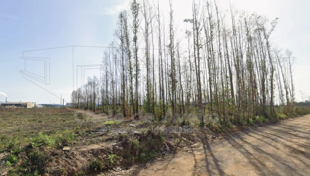 Terreno Agricola ou Rústico para Venda em Albergaria-A-Velha e Valmaior Foto 4