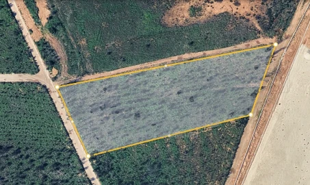 Terreno Agricola ou Rústico para Venda em Albergaria-A-Velha e Valmaior