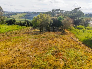 Terreno para Venda em Roliça