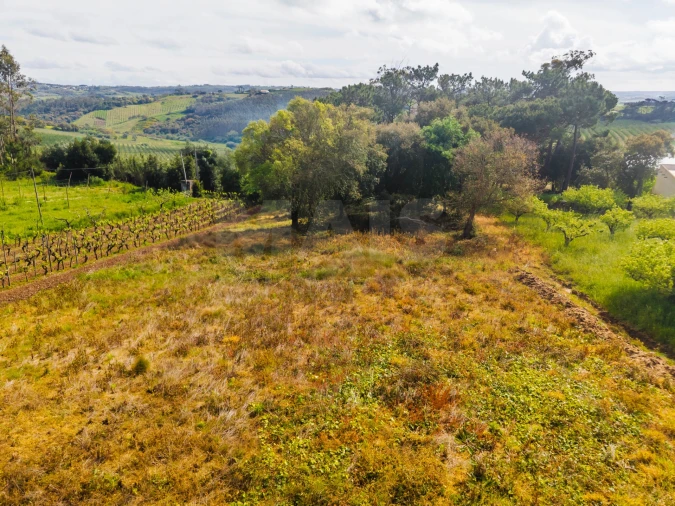 Terreno para Venda em Roliça Foto 6