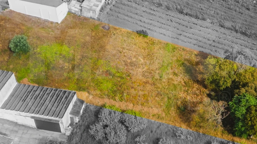 Terreno para Venda em Roliça