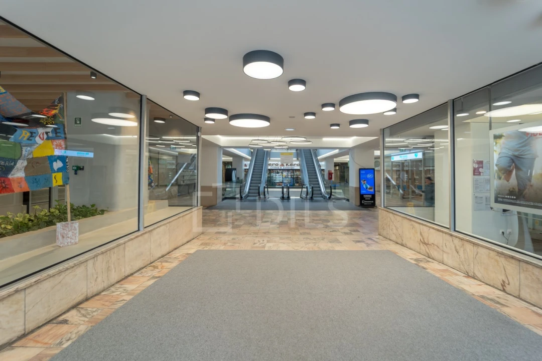 Escritório para Arrendamento em Cedofeita, Santo Ildefonso, Sé, Miragaia, São Nicolau e Vitória Foto 20