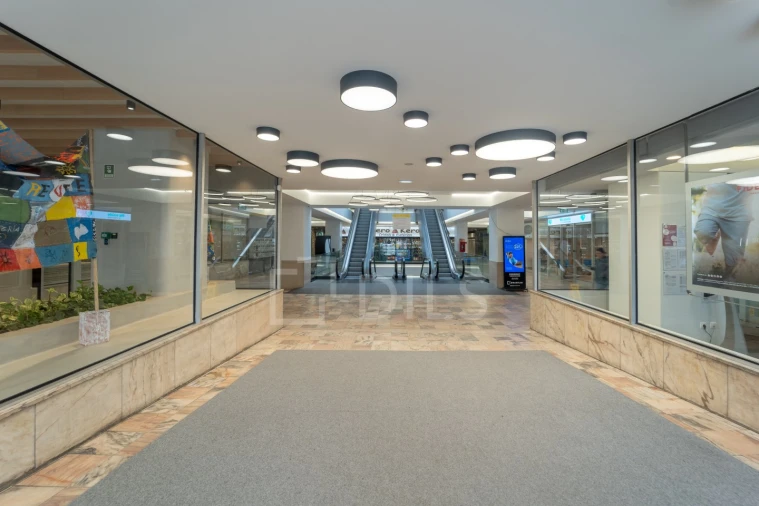 Escritório para Arrendamento em Cedofeita, Santo Ildefonso, Sé, Miragaia, São Nicolau e Vitória Foto 20