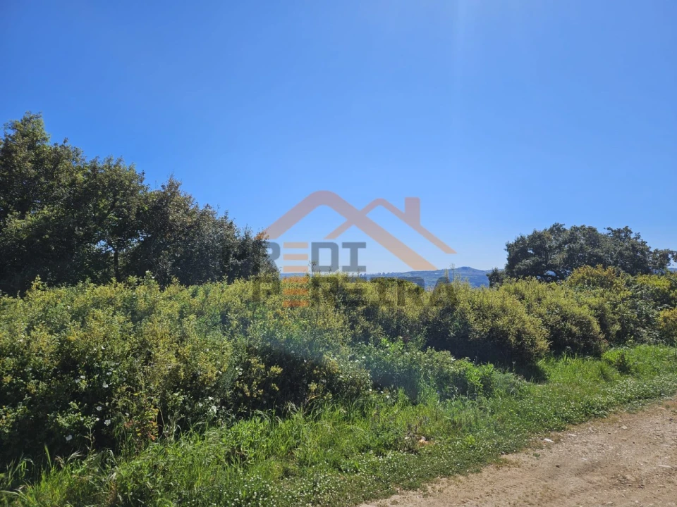 Terreno para Venda em Santo Antão e São Julião do Tojal Foto 8