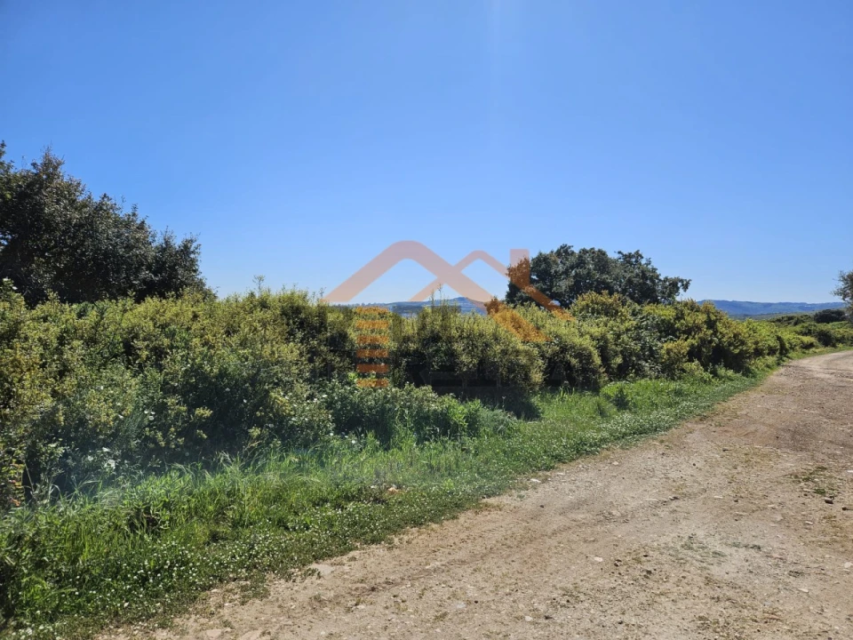 Terreno para Venda em Santo Antão e São Julião do Tojal Foto 9