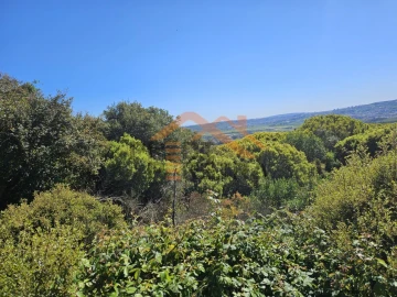 Terreno para Venda em Santo Antão e São Julião do Tojal