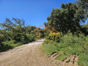 Terreno para Venda em Santo Antão e São Julião do Tojal