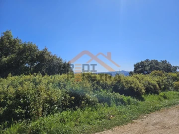 Terreno para Venda em Santo Antão e São Julião do Tojal