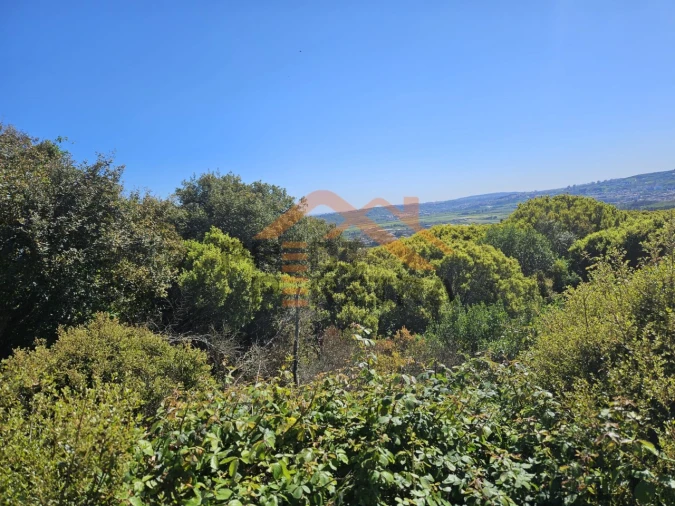 Terreno para Venda em Santo Antão e São Julião do Tojal Foto 4