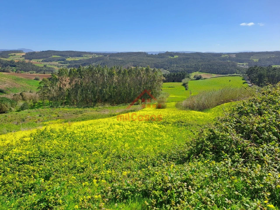 Terreno Agricola ou Rústico para Venda em Lourinhã e Atalaia Foto 1