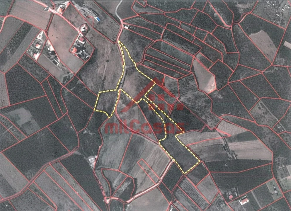 Terreno Agricola ou Rústico para Venda em Lourinhã e Atalaia Foto 9