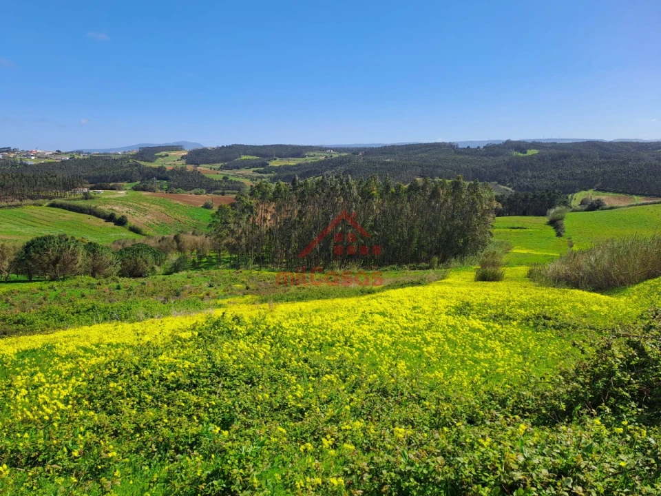 Terreno Agricola ou Rústico para Venda em Lourinhã e Atalaia Foto 10