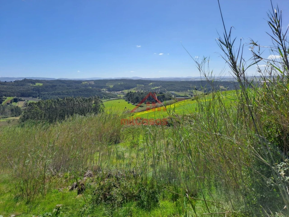 Terreno Agricola ou Rústico para Venda em Lourinhã e Atalaia Foto 11