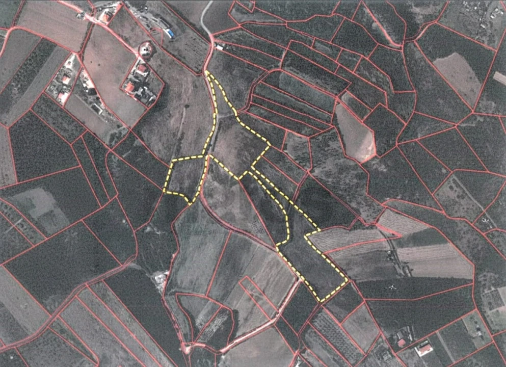 Terreno Agricola ou Rústico para Venda em Lourinhã e Atalaia Foto 16