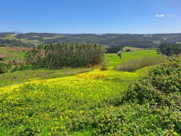 Terreno Agricola ou Rústico para Venda em Lourinhã e Atalaia
