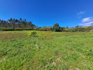 Terreno Agricola ou Rústico para Venda em Lourinhã e Atalaia