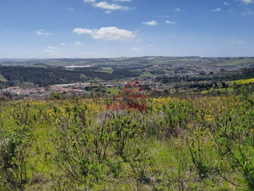Terreno Agricola ou Rústico para Venda em Lourinhã e Atalaia