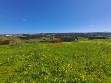 Terreno Agricola ou Rústico para Venda em Lourinhã e Atalaia