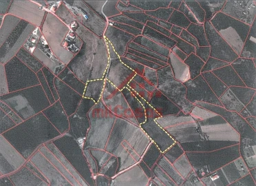 Terreno Agricola ou Rústico para Venda em Lourinhã e Atalaia